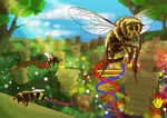 Bee healthy! Honeybee physiology reflects landscape and supports conservation