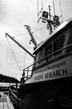 Effects of salinity on swimming performance and oxygen consumption rate of shiner perch Cymatogaster aggregata