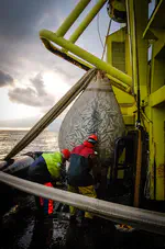 Behavioural and physiological responses to prey match-mismatch in larval herring