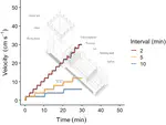 Automated flow control of a multi-lane swimming chamber for small fishes indicates species-specific sensitivity to experimental protocols