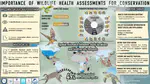 Importance of health assessments for conservation in noncaptive wildlife